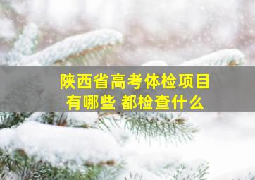 陕西省高考体检项目有哪些 都检查什么